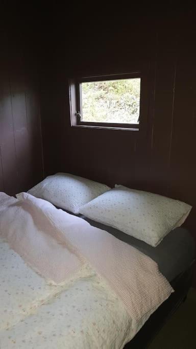 Koselig Hytte I Skogen 스카지 외부 사진
